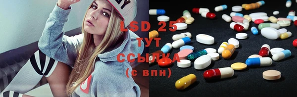 PSILOCYBIN Лиски