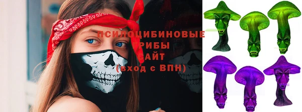 PSILOCYBIN Лиски