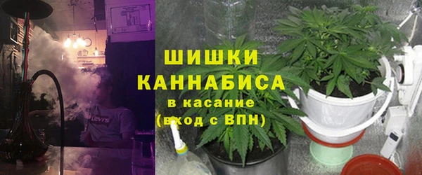 твердый Богородск